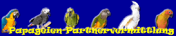 Partnervermittlung papageien